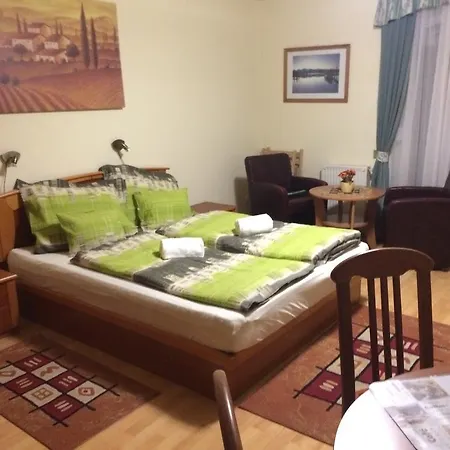 City Center Apartment Heviz